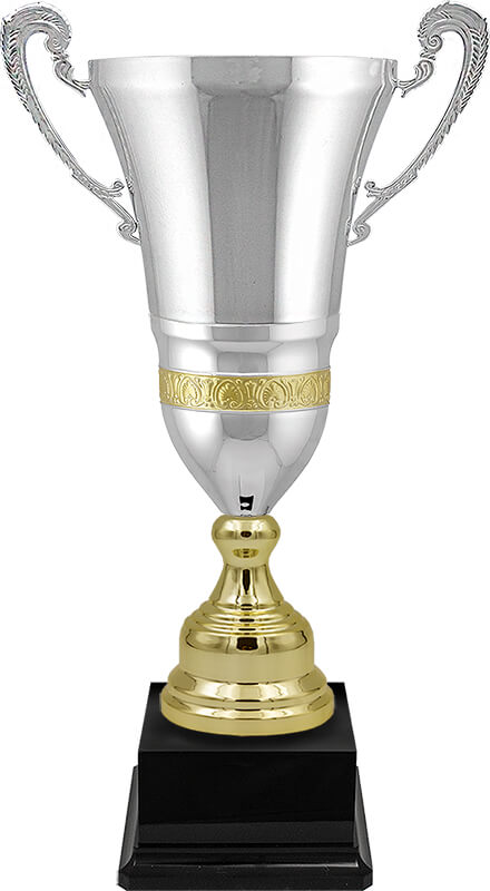 Кубок Вебстер Кубок Вебстер