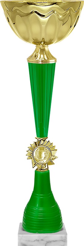 Кубок Фестиваль