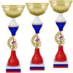 Кубок Нельсон 3 место