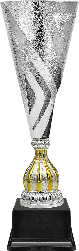 Кубок Ненси