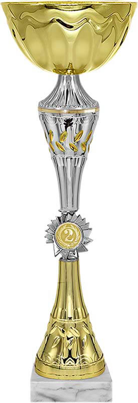 Кубок 2 место