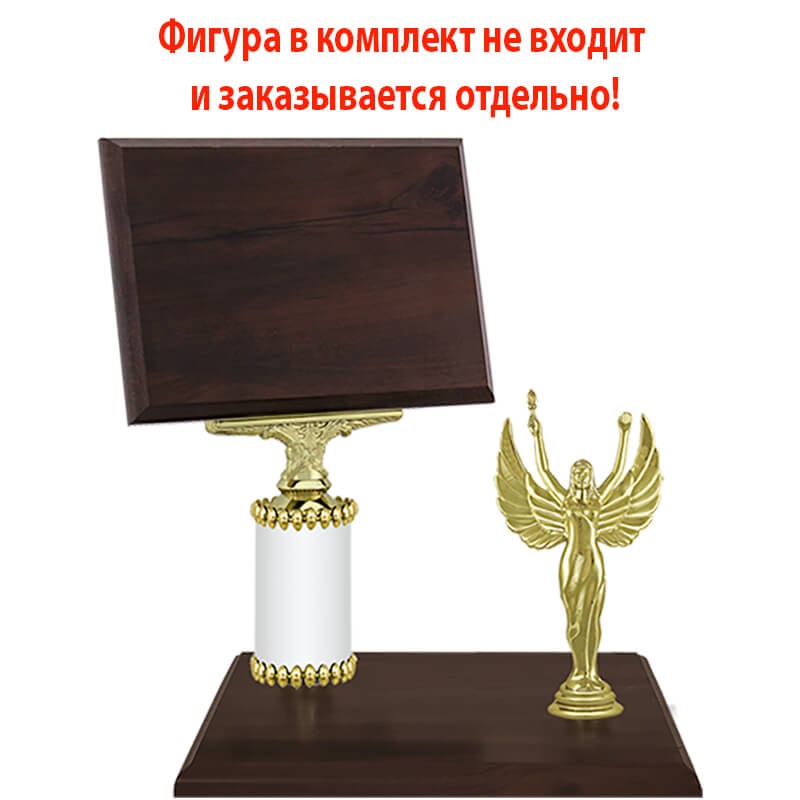 Награда (без фигуры)