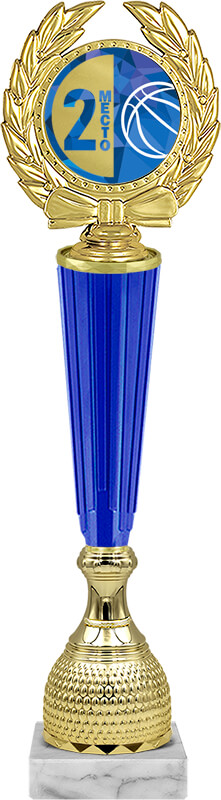 Награда баскетбол 2 место