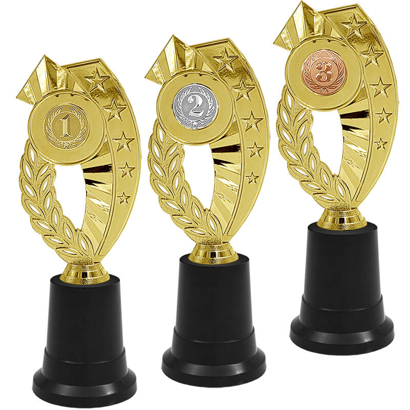 Награда 3 место