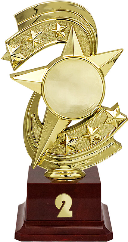 Награда 2 место