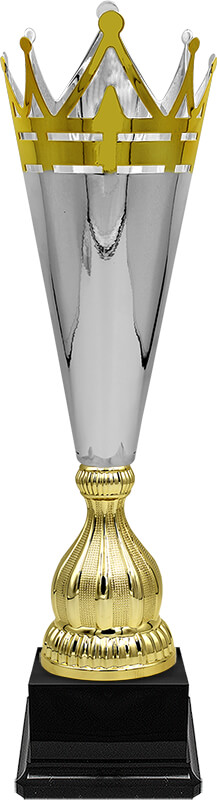 Кубок Омега