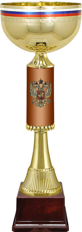 Кубок Артек