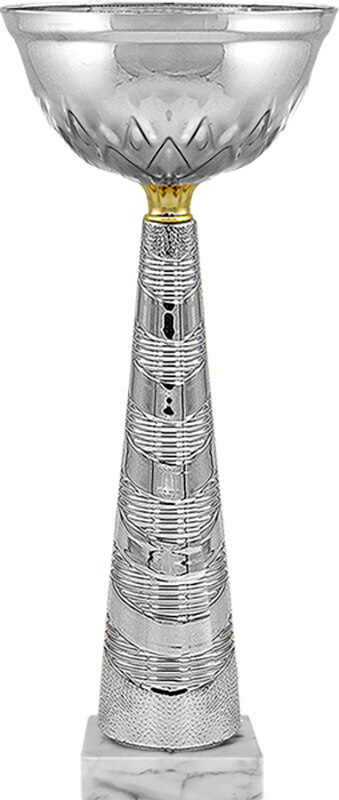 Кубок Жорж (под серебро)