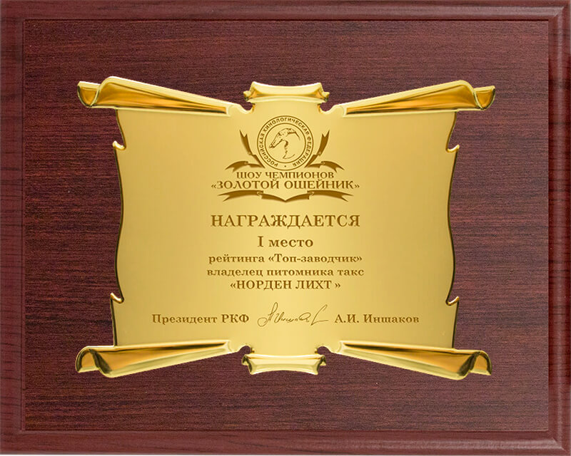 Вариант комплектации плакетки №953