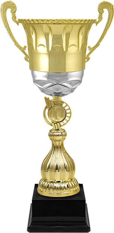 Кубок Джиди