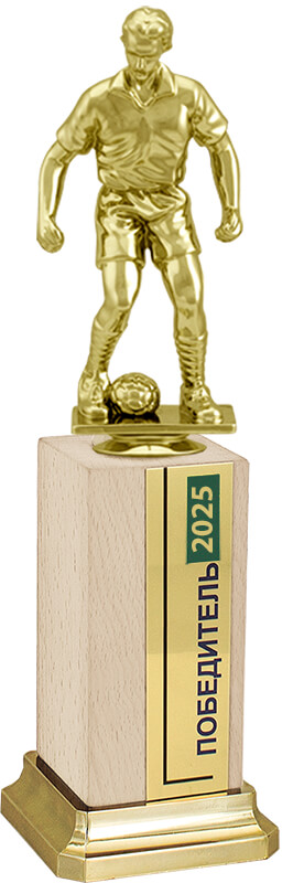 Награда Футболист на деревянном бруске