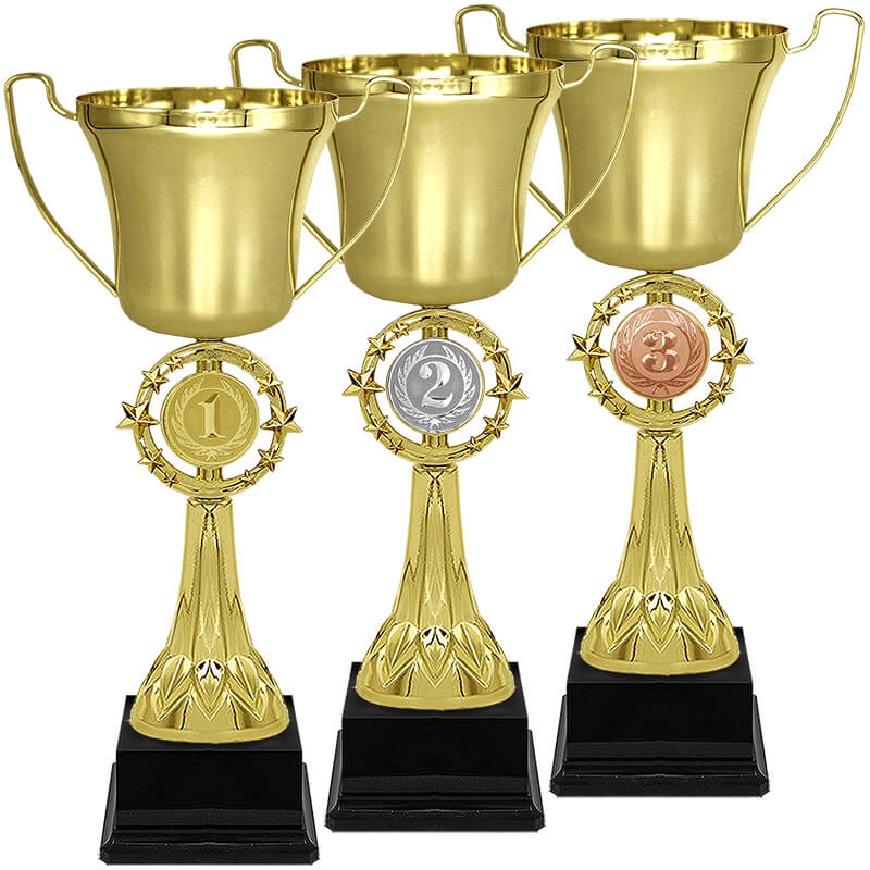 Кубок Паскаль 2 место