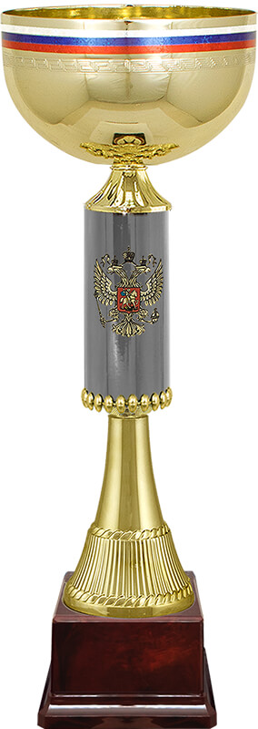 Кубок Артек