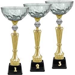 Кубок Нуар 3 место