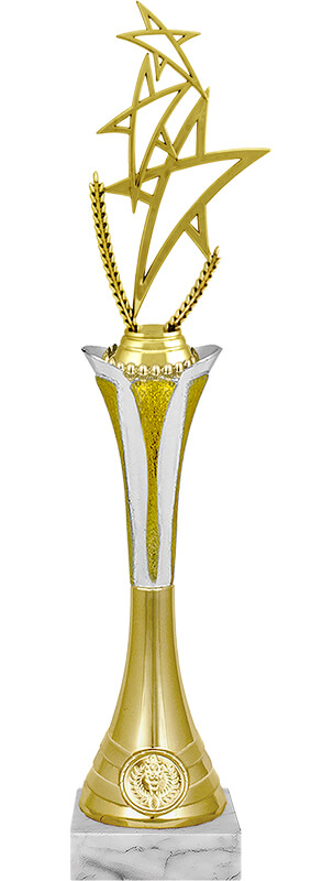 Награда Звезды Награда Звезды