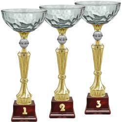 Кубок Нуар 3 место Кубок Нуар 3 место