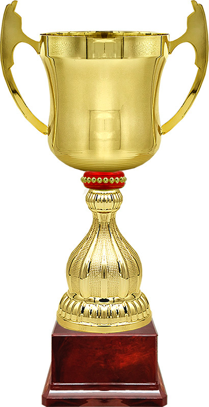 Кубок Миклухо