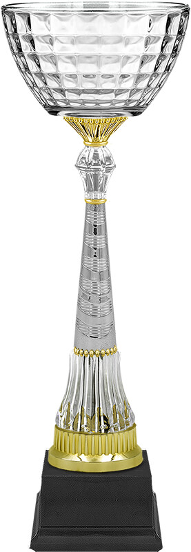 Кубок Катарина (под серебро)