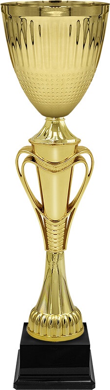 Кубок Тотти