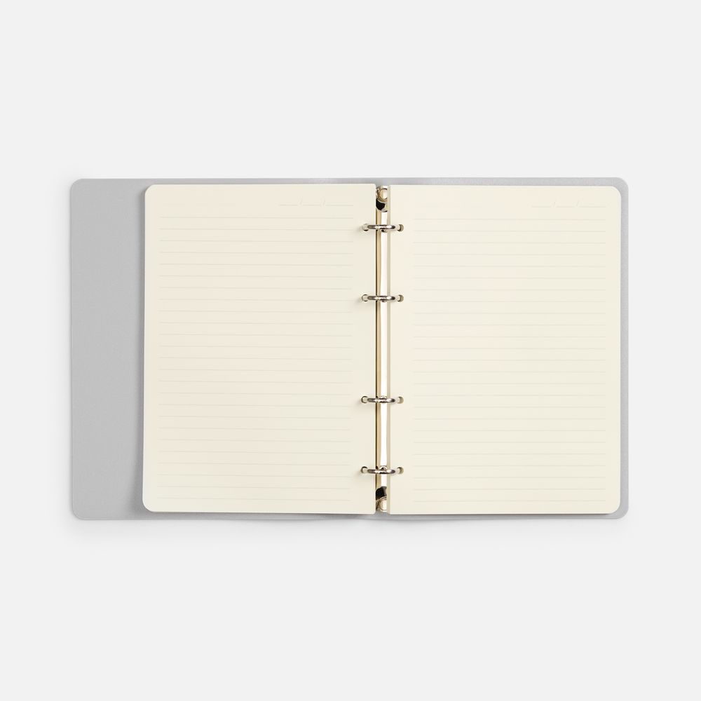 Ежедневник Ringo, недатированный, серебристый