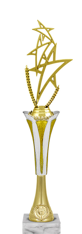 Награда Звезды Награда Звезды