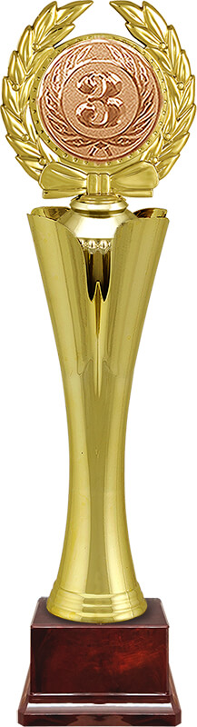 Награда 3 место Награда 3 место