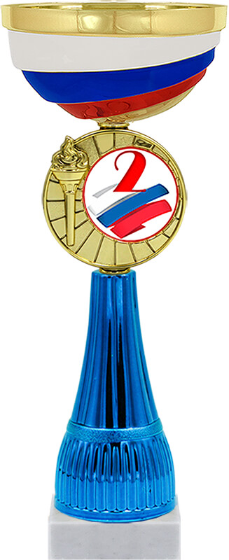 Кубок Чапай 2 место (синий)
