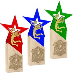 Награда волейбол Награда волейбол