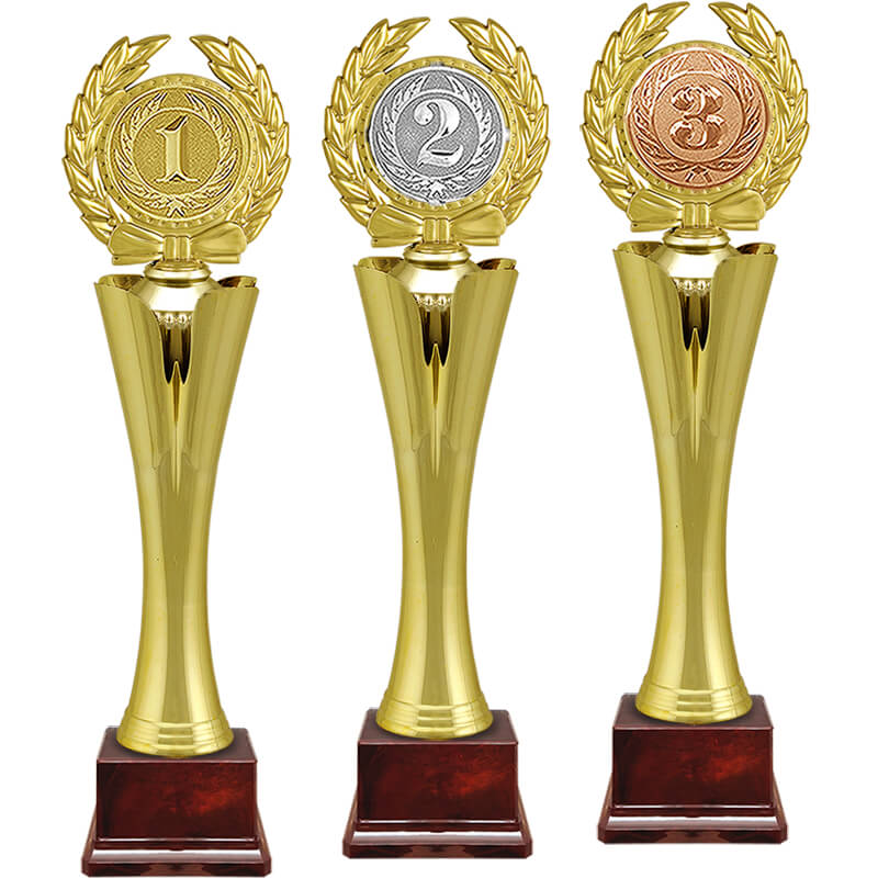 Награда 3 место Награда 3 место