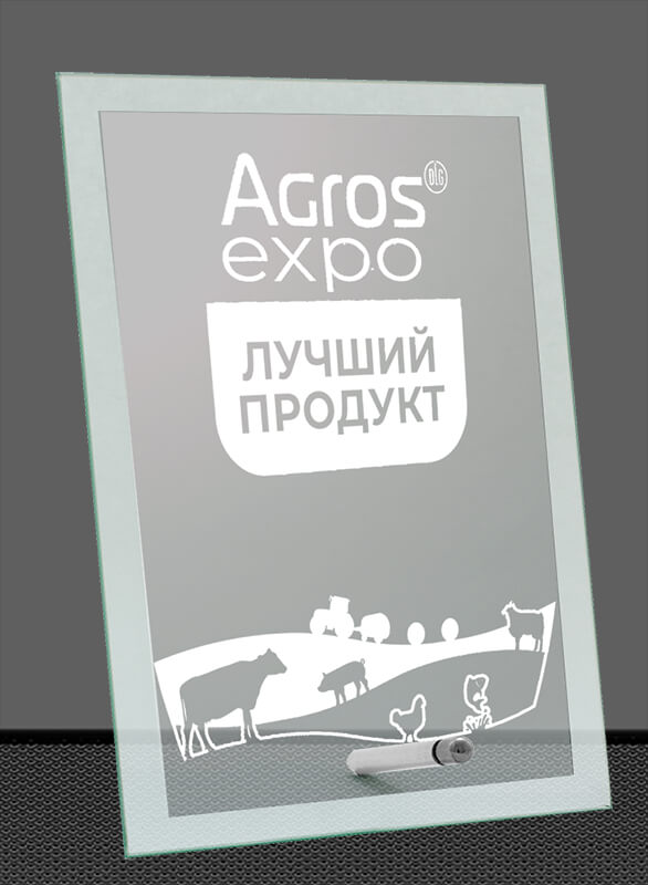 Награда из стекла с гравировкой