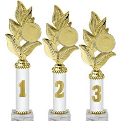 Награда 1 место Награда 1 место