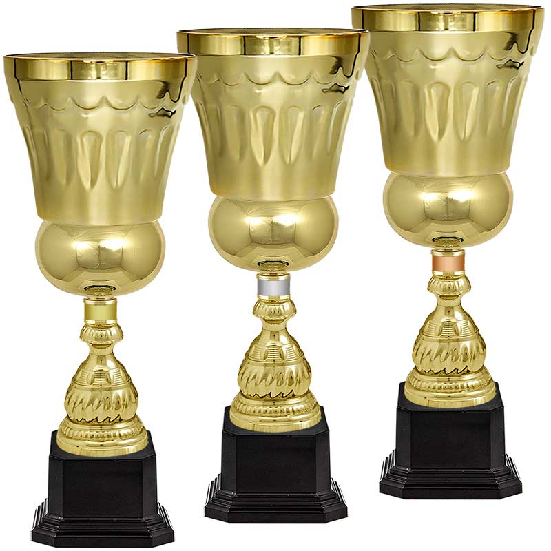 Кубок Штольц бр