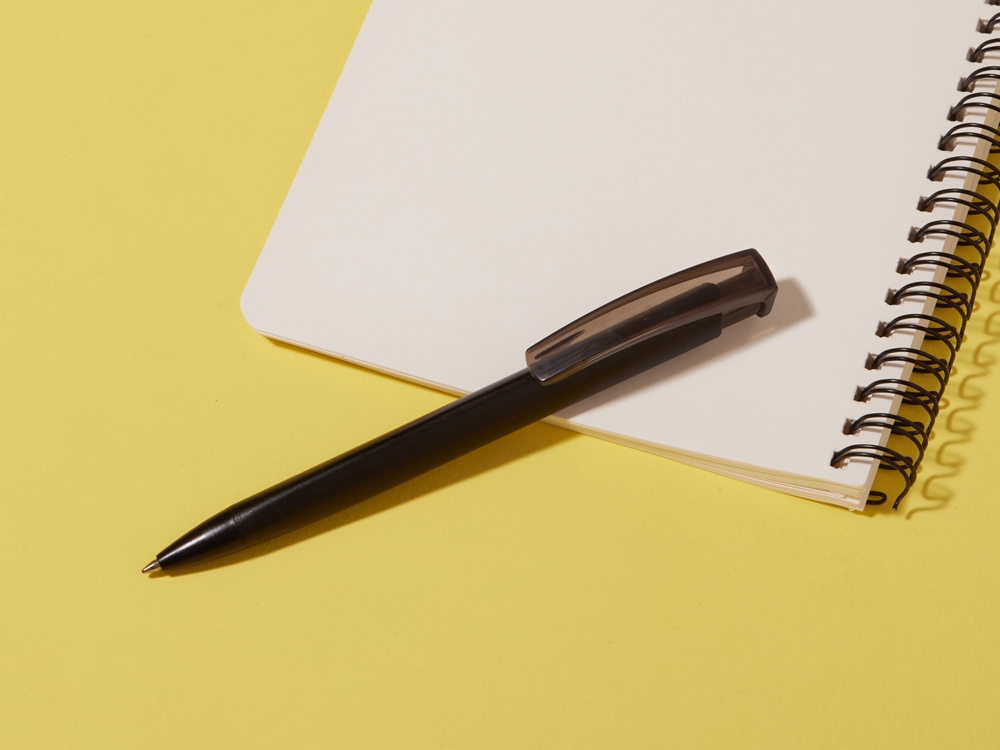 Ручка шариковая пластиковая Trinity K Transaprent Recy, черный