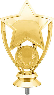 Фигура Звезда