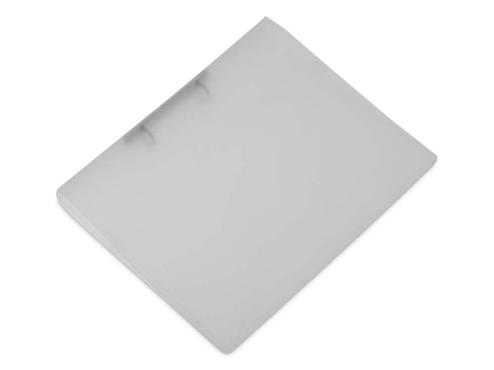 Папка пластиковая с 2 кольцами, прозрачный