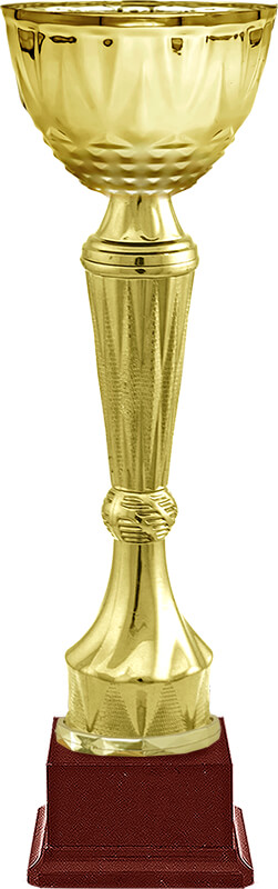 Кубок Бухер