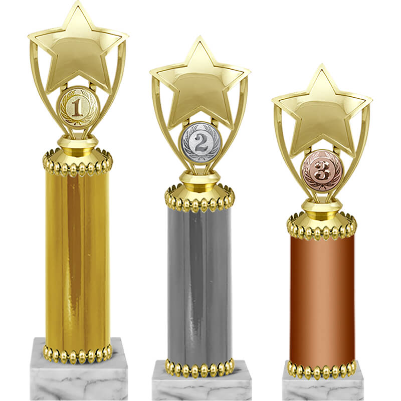 Награда 1 место