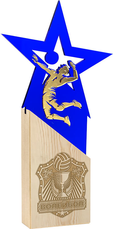 Награда волейбол Награда волейбол
