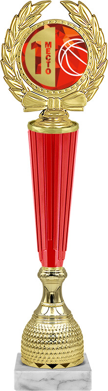 Награда баскетбол 1 место