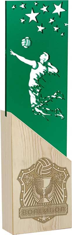 Награда волейбол Награда волейбол