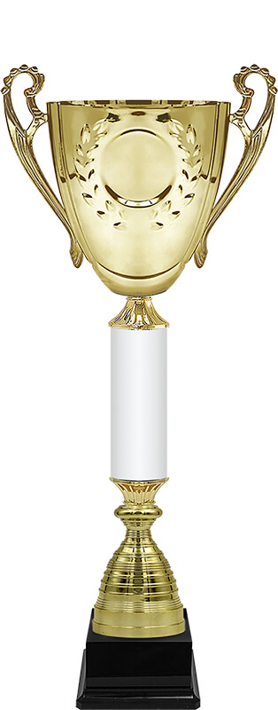 Кубок Радмир