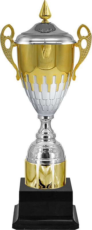 Кубок Морган