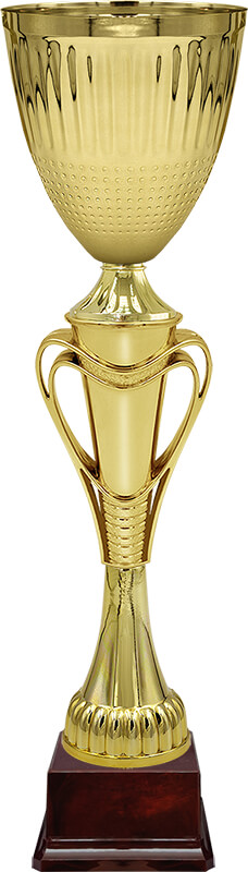 Кубок Тотти Кубок Тотти