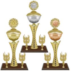 Кубок Хилтон 3 место Кубок Хилтон 3 место