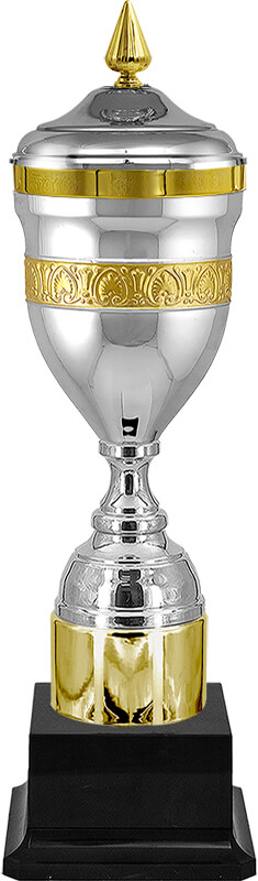 Кубок Кэлвин