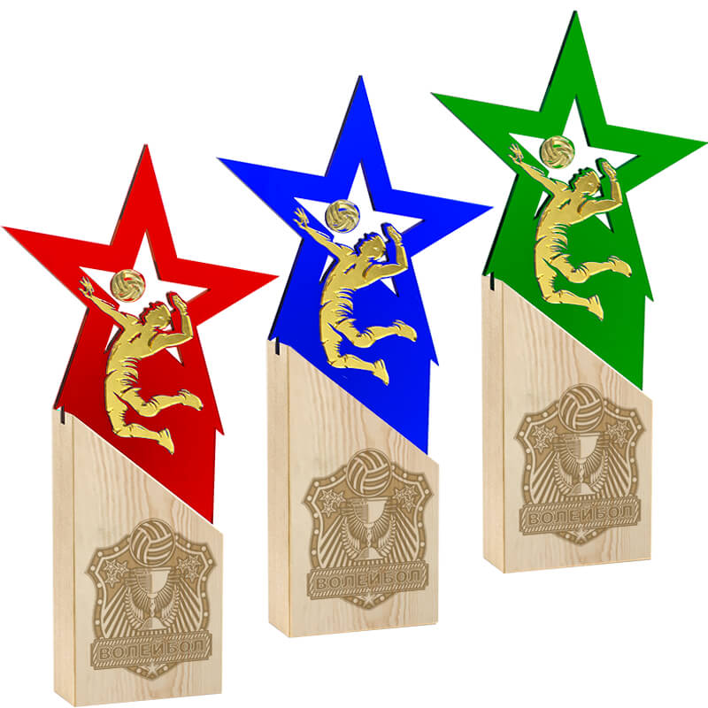 Награда волейбол Награда волейбол