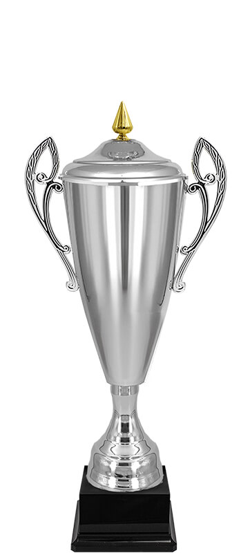 Кубок Владияр