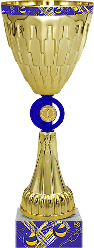 Кубок Удрис 1 место