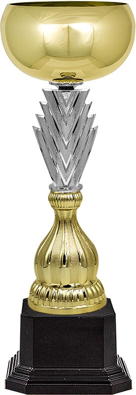 Кубок Зингер