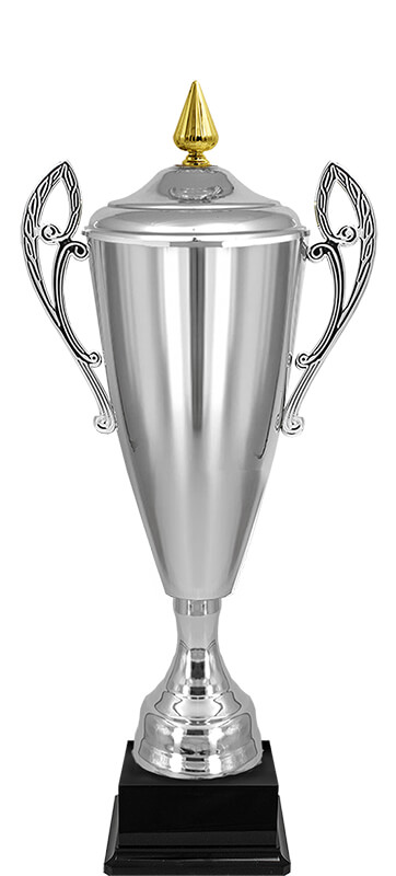 Кубок Владияр